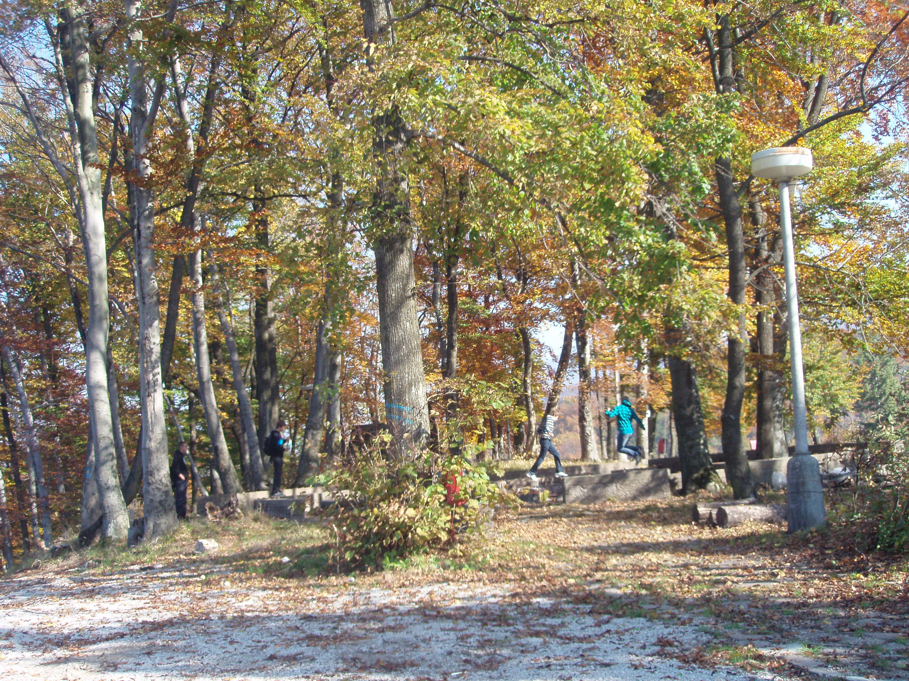 PA130338.JPG
